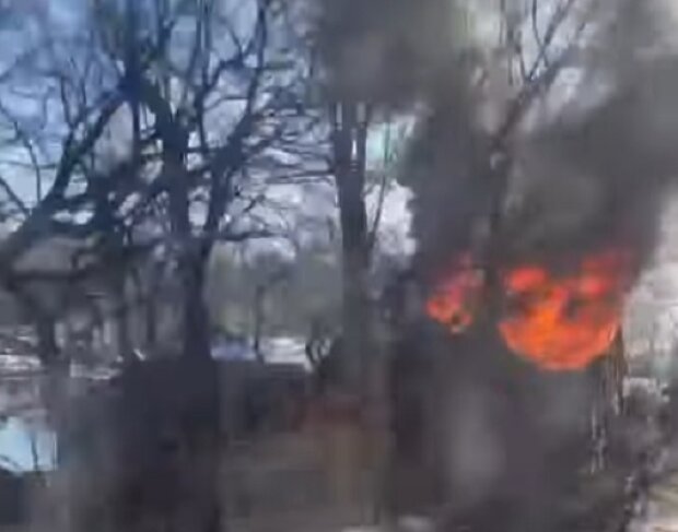 У київському Гідропарку спалахнула пожежа (відео)