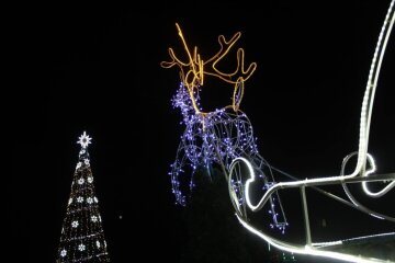 У Дарницькому районі у сквері ім. О.Кошиця буде штучне новорічне дерево