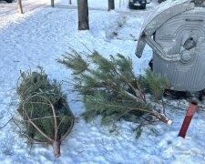 Екологічна утилізація: у столиці розпочали роботу понад 70 пунктів прийому новорічних дерев