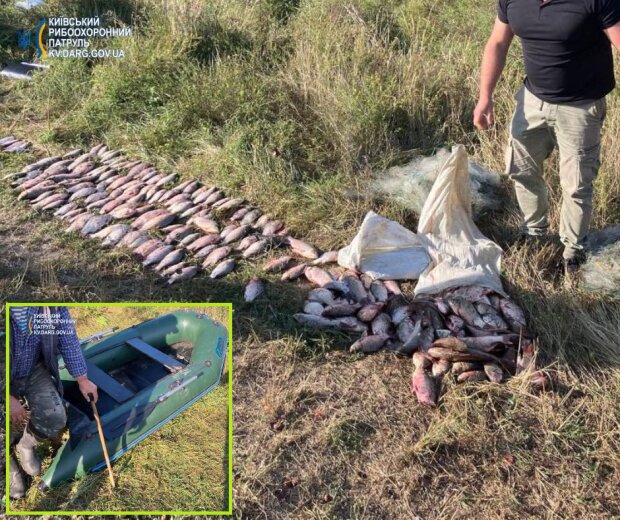 На понад 300 тисяч гривень - стало відомо про результат вилову бракон'єра на Київщині