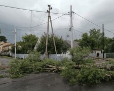 На Київщині через негоду відбуваються аварійні відключення - ДТЕК