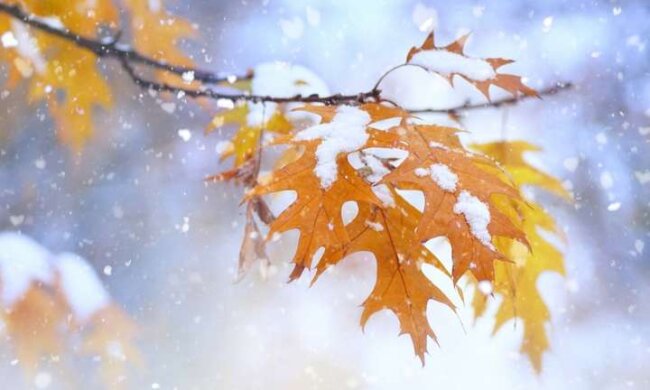 Коли в Києві випаде перший сніг. Синоптики назвали дату
