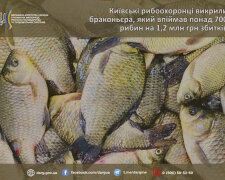 В області викрили бракон'єра, який наловив понад 700 рибин та завдав шкоди на понад ₴1,2 млн