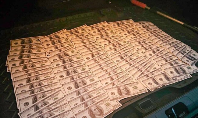 Багажник доларів за «білий квиток»: у Києві судитимуть шахрайку