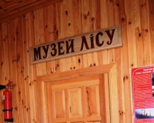 У найстарішому лісництві Києва облаштовують Музей лісу – лісівники знайшли старі документи