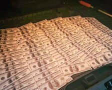 Багажник доларів за «білий квиток»: у Києві судитимуть шахрайку