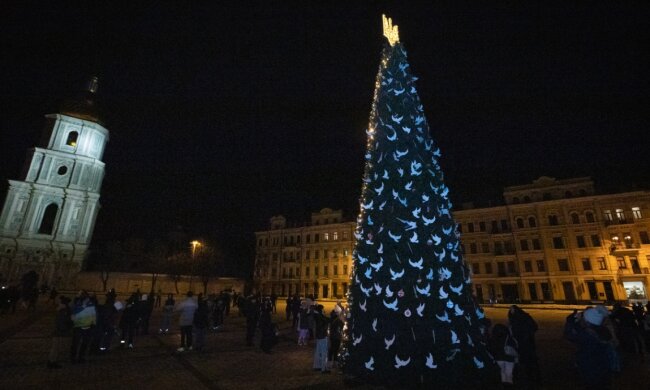 На Софіївській площі Києва за кошт меценатів встановлять головну ялинку столиці