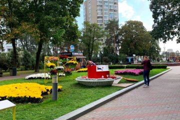 Час пити чай: у столичному парку з`явились велетенські чашки з квітами (фото)