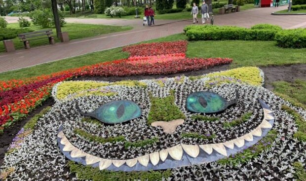 На День Києва чарівний пеньок у парку Перемога виконуватиме бажання