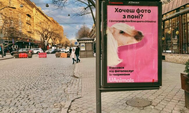Українців закликають відмовитися фотографуватися з тваринами