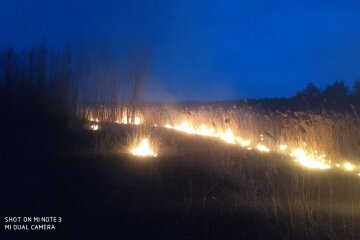 Під Києвом зловили підпалювачів на мопедах (фото, відео)