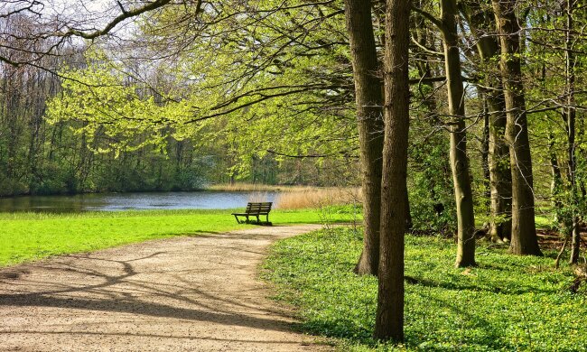 У Голосіївському парку облаштують зони активних розваг та відпочинку для дітей і дорослих