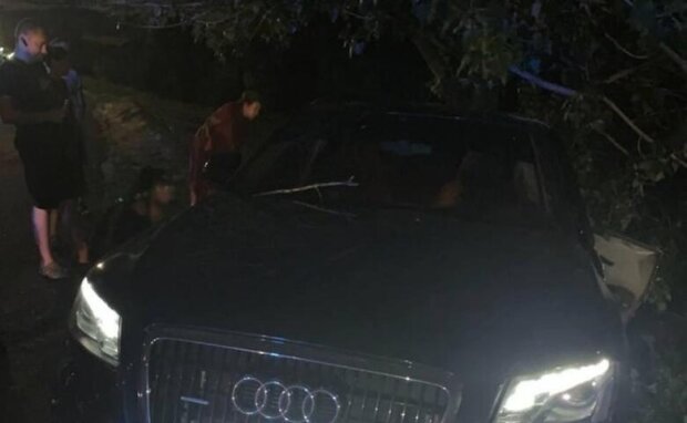 Водійка Audi ледь не збила людей та влетіла в дерево: у неї знайшли посвідчення судді