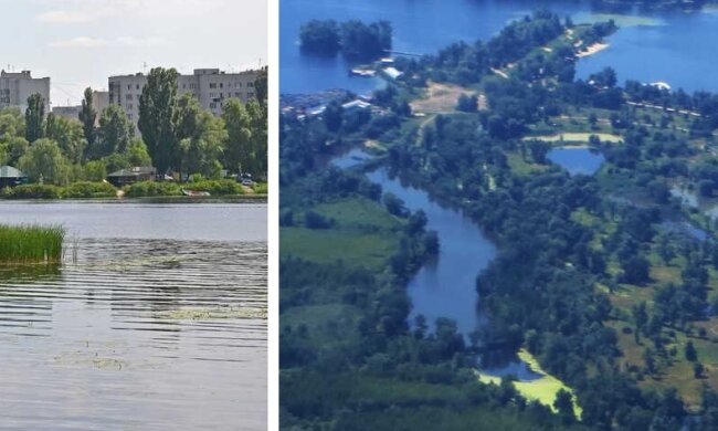 Забудовник планує знищити унікальну природну зону на Галерному острові Києва