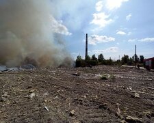 Київ у диму: пожежа на сміттєзвалищі перекинулась на торфовища (відео)