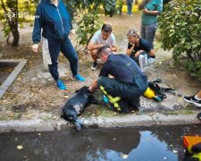 У Білій Церкві ліквідовано пожежу, евакуйовано людей та врятовано собаку