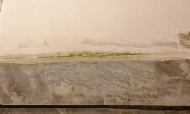 У київському метро пліснявіють стіни