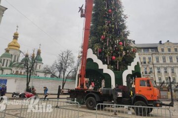 Головну ялинку країни на Софії почали розбирати