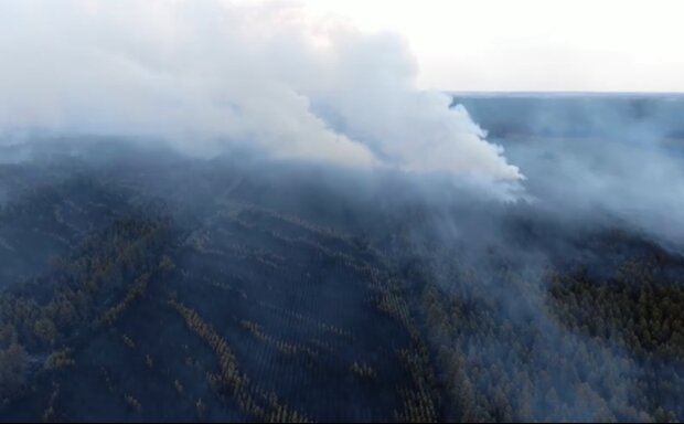 Як виглядають випалені ліси Луганщини з висоти (відео)