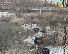 Екологічне лихо на Багриновій горі: через суд орендаря змушують очистити берегову лінію озера Лукрець від тонн відходів