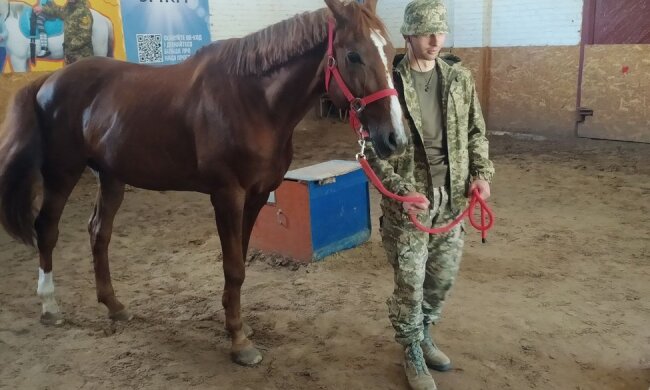 На столичному Іподромі іпотерапією повертають військовим радість до життя
