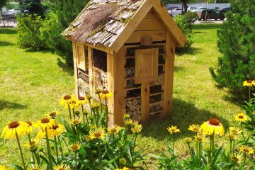 У парку "Веселка" встановили перший готель для комах