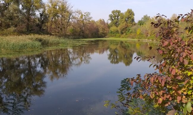 Галерний острів через суд намагаються врятувати від забудови