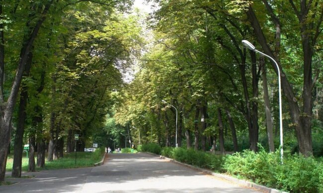 У Києві перейменували парк імені Пушкіна - тепер він названий на честь українського письменника