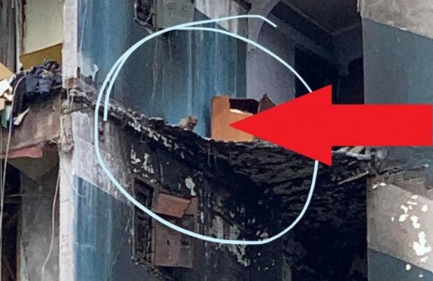 У Бородянці рятуватимуть кота, який застряг на 7 поверсі напівзруйнованого будинку