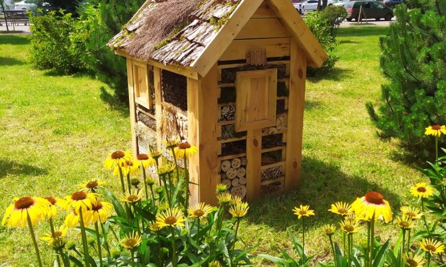 У парку "Веселка" встановили перший готель для комах