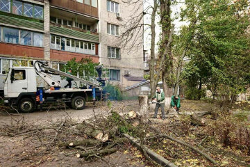 У Києві підрахували результати роботи "штормових Сил природи" 28-29 жовтня