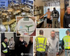 ₴52 млн. У Києві "накрили" схему торгівлі наркотичних препаратів під виглядом "диво-таблеток для схуднення"