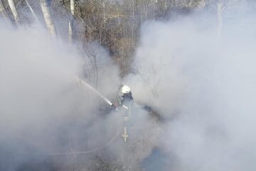 За спалювання трави та сміття в Києві жорстко каратимуть