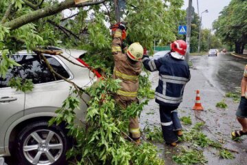 На Київщині від негоди загинула людина