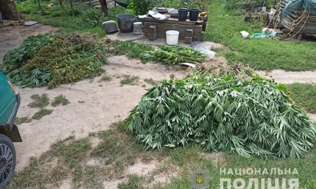 У Києві вилучили наркотиків на 15 млн та затримали продавців канабісу (відео)