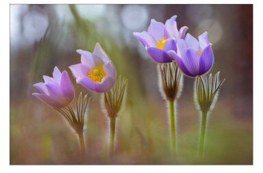 Фото як терапія: у Києві презентували благодійний Весняний вернісаж на підтримку прикордонників
