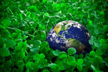 Які екологічні права мають українці