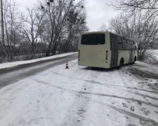 У передмісті автобус збив 85-річного пенсіонера