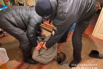 Побиття до смерті: на Київщині поліція затримала зловмисника