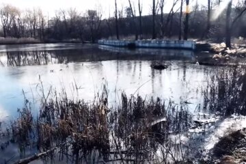 Озеро на Оболоні заливають мазутом