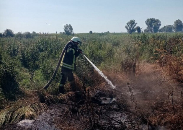 Під Києвом з самого ранку горять торф’яники