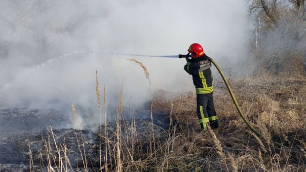 Київ та передмістя страждають від пожеж