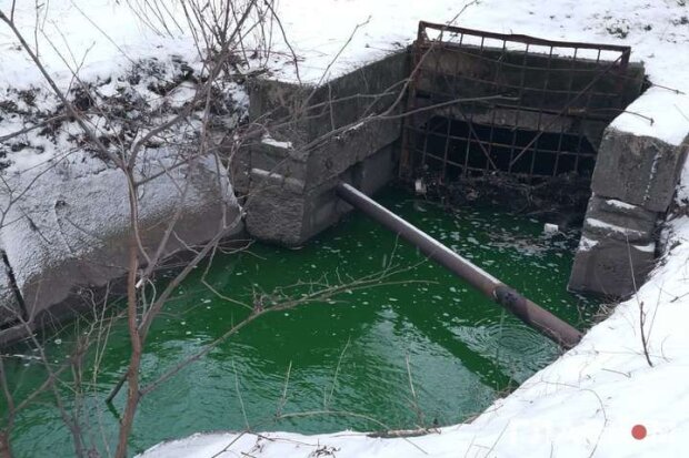 У річці посеред Києва вода стала ядучо-зеленою