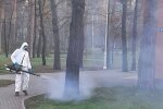 Сезон полювання на кліщів: у столиці знешкоджують паразитів на 114 гектарах зелених зон