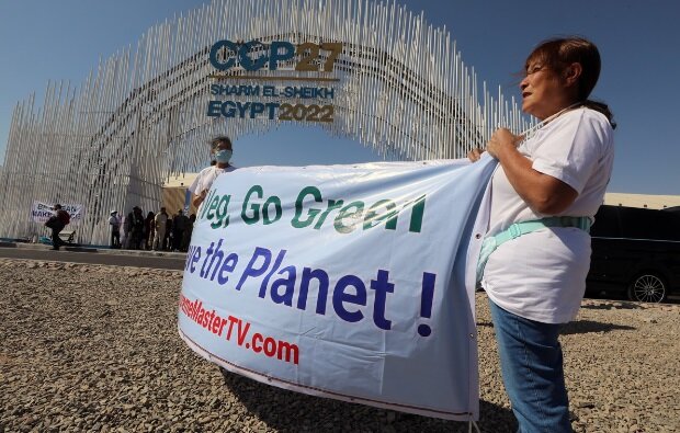Кліматичний саміт COP27: як Україна допоможе змінити світ