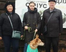 У Києві пcа Джека, якого власниця прив’язала у парку та поїхала за кордон, забрали в сім’ю