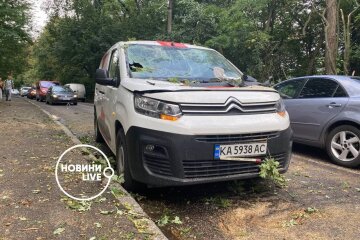Гілки пробили лобове скло та двері: у Києві блискавка повалила дерево на автомобіль