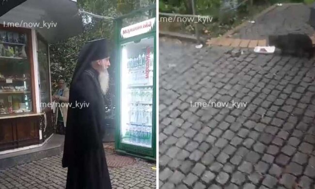 “Владика не благословив”: у Києві священник заборонив стерилізувати кішок з території лаври (відео)