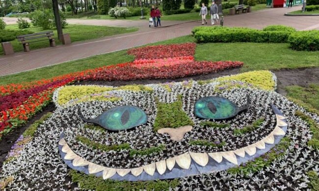 На День Києва чарівний пеньок у парку Перемога виконуватиме бажання