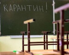 Столичні школи самостійно вирішують питання щодо введення картину в закладі